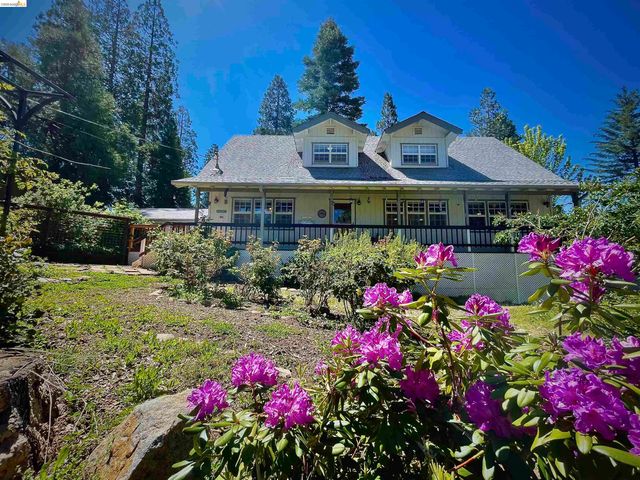 20145 Manzanita, Twain Harte, CA 95383