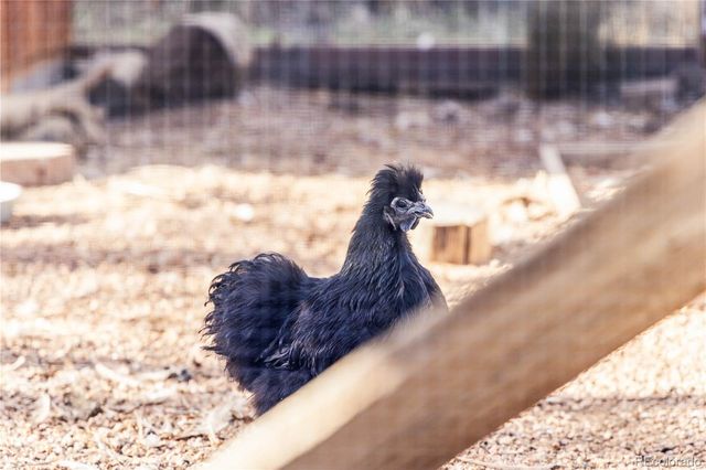 1712 Stonehenge Drive, Lafayette, CO 80026