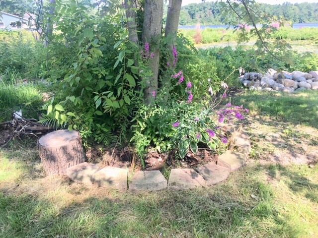 416 W Russell Drive, Coldwater, MI 49036