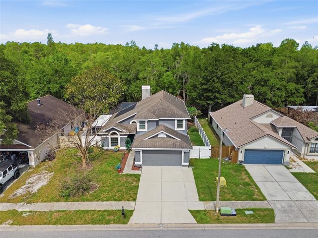 1621 SPINNING WHEEL DRIVE, Lutz, FL 33559