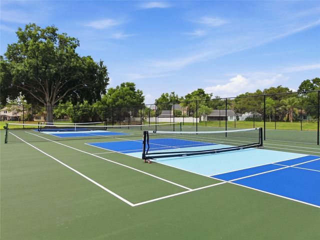 1621 SPINNING WHEEL DRIVE, Lutz, FL 33559