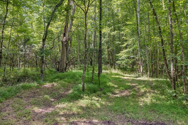 0 Ugly Creek Road, Duck River, TN 38454