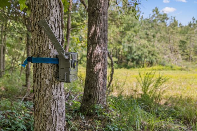 0 Ugly Creek Road, Duck River, TN 38454
