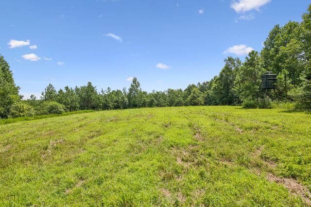 0 Ugly Creek Road, Duck River, TN 38454
