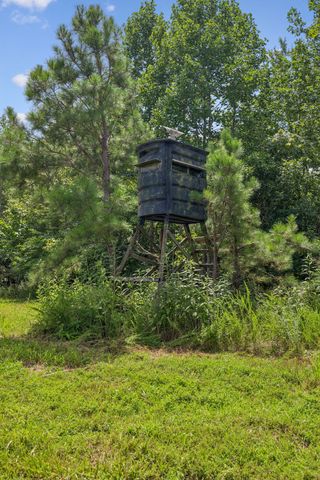 0 Ugly Creek Road, Duck River, TN 38454