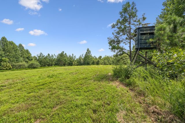 0 Ugly Creek Road, Duck River, TN 38454