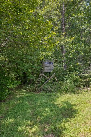 0 Ugly Creek Road, Duck River, TN 38454