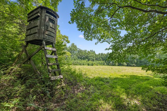 0 Ugly Creek Road, Duck River, TN 38454