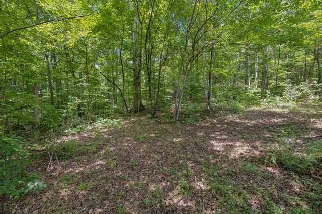 0 Ugly Creek Road, Duck River, TN 38454