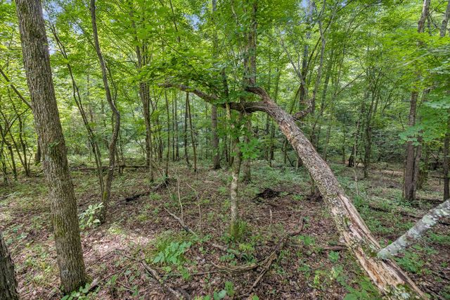 0 Ugly Creek Road, Duck River, TN 38454