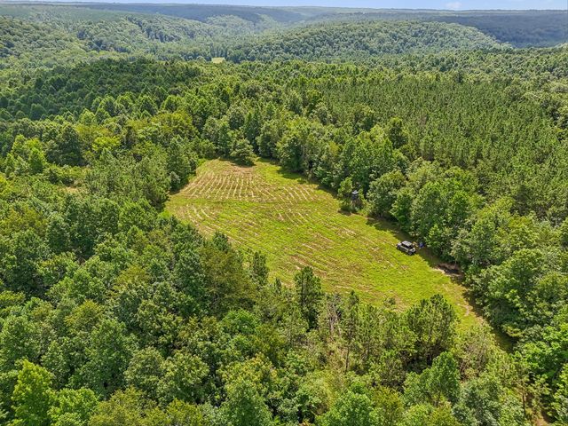 0 Ugly Creek Road, Duck River, TN 38454