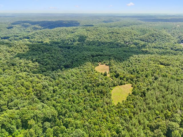 0 Ugly Creek Road, Duck River, TN 38454