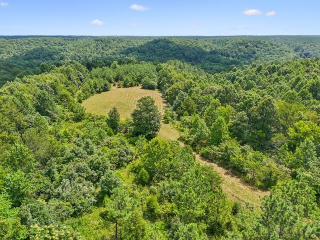0 Ugly Creek Road, Duck River, TN 38454