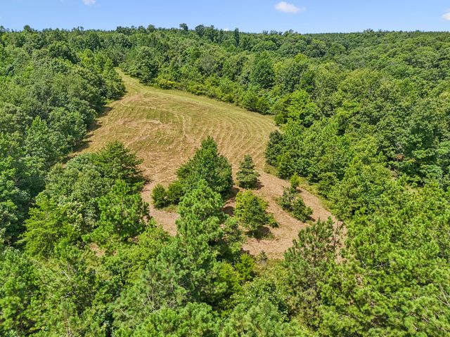 0 Ugly Creek Road, Duck River, TN 38454