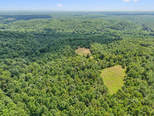0 Ugly Creek Road, Duck River, TN 38454