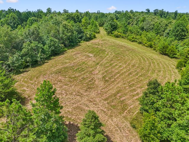 0 Ugly Creek Road, Duck River, TN 38454