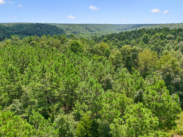 0 Ugly Creek Road, Duck River, TN 38454