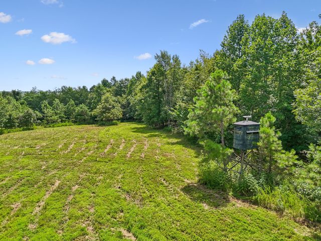 0 Ugly Creek Road, Duck River, TN 38454
