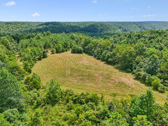 0 Ugly Creek Road, Duck River, TN 38454
