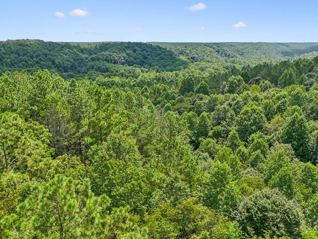 0 Ugly Creek Road, Duck River, TN 38454