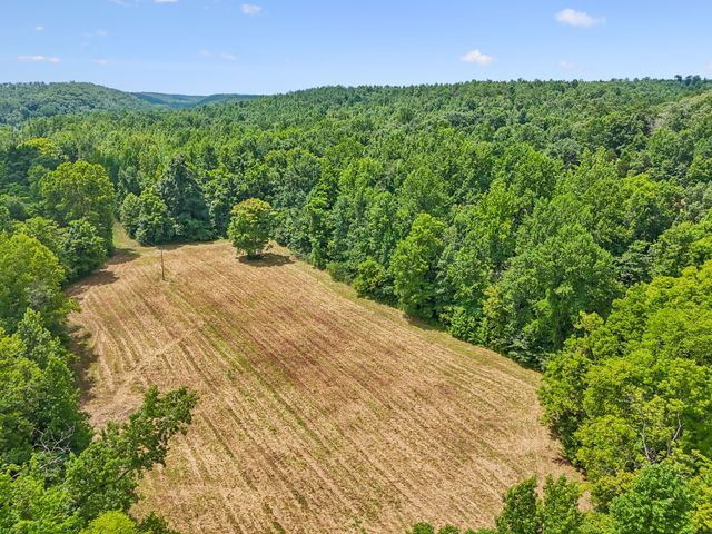 0 Ugly Creek Road, Duck River, TN 38454