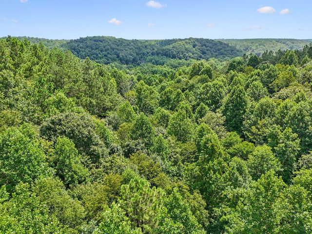 0 Ugly Creek Road, Duck River, TN 38454