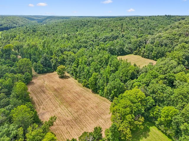 0 Ugly Creek Road, Duck River, TN 38454