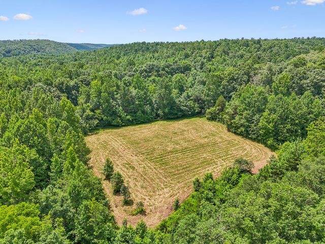 0 Ugly Creek Road, Duck River, TN 38454