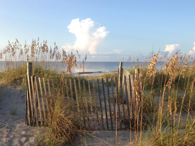 3516 Myrtle Street, Edisto Beach, SC 29438