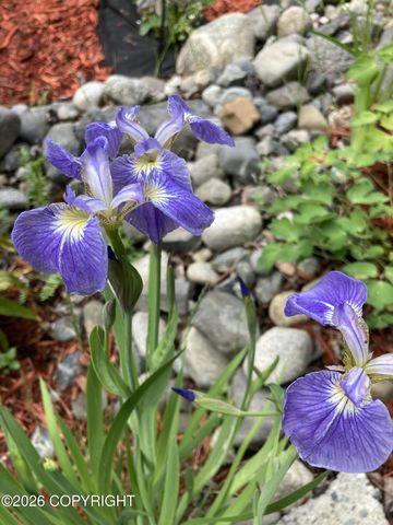 6990 W Windsor Drive, Wasilla, AK 99623