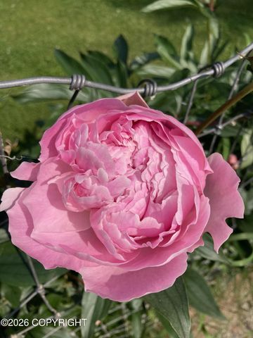 6990 W Windsor Drive, Wasilla, AK 99623