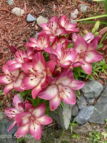 6990 W Windsor Drive, Wasilla, AK 99623