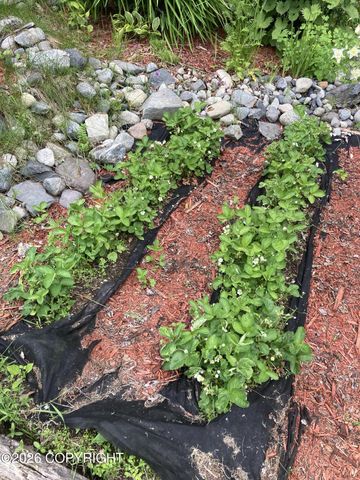 6990 W Windsor Drive, Wasilla, AK 99623