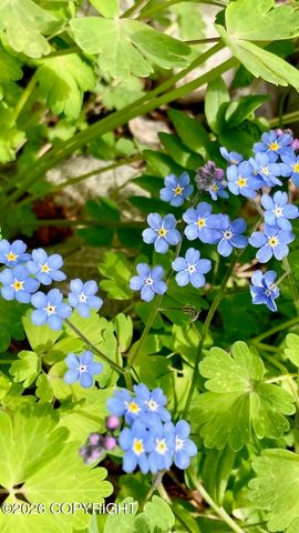 6990 W Windsor Drive, Wasilla, AK 99623