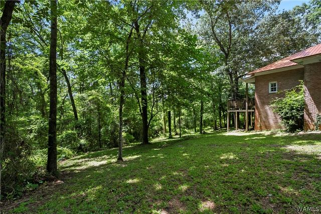 8850 Nicol Hill, Cottondale, AL 35453
