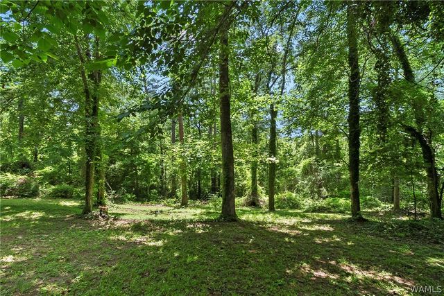8850 Nicol Hill, Cottondale, AL 35453