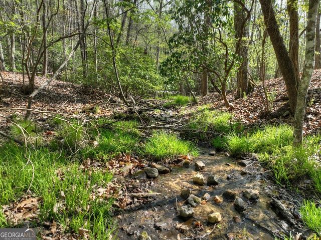 185 Locust Lane, Morganton, GA 30560