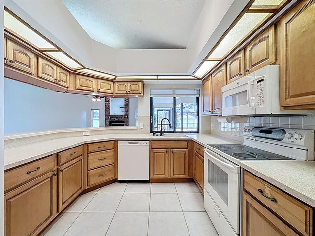 2414 BUCKHORN RUN DRIVE, Valrico, FL 33596