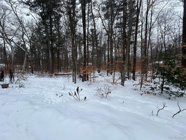 9642 Hummingbird Ct, Reynolds Township, MI 49329