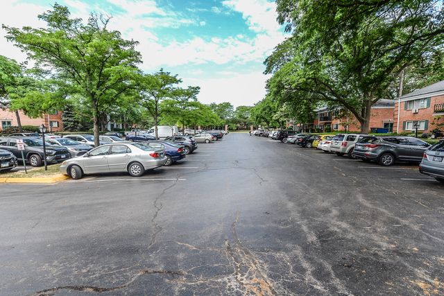 711 E FALCON Drive 101, Arlington Heights, IL 60005