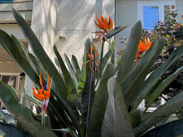 1505 Kirker Pass Rd 119, Concord, CA 94521