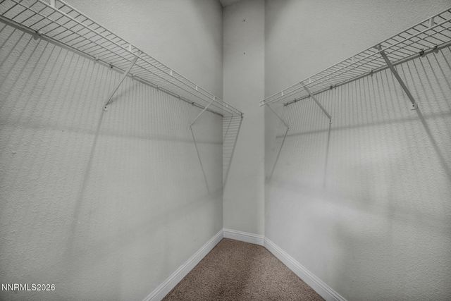 1110 Bandtail Drive, Carson City, NV 89701