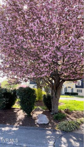 235 West F Street, Elizabethton, TN 37643