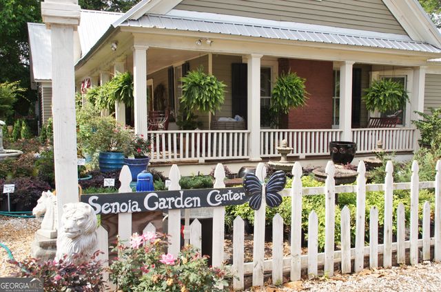 20 Woodchase Drive, Senoia, GA 30276