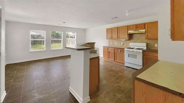 2614 Skyview Knoll Court, Houston, TX 77047