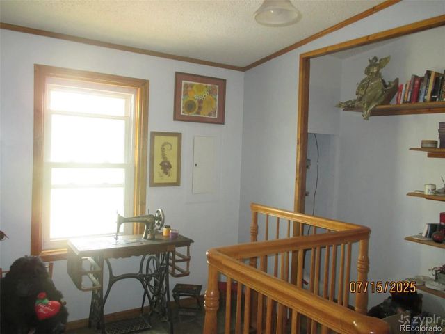 15 Sloan Rd, Livermore, CO 80536