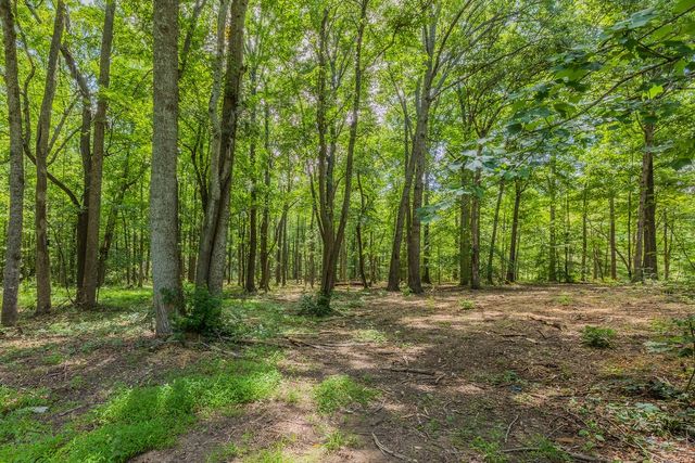 924 Spring Valley Rd, Mcminnville, TN 37110
