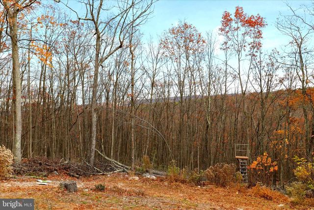 516 ROBERTS RD, Great Cacapon, WV 25422