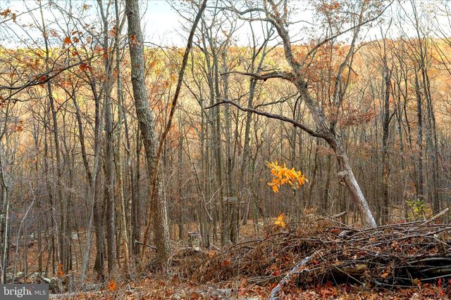 516 ROBERTS RD, Great Cacapon, WV 25422