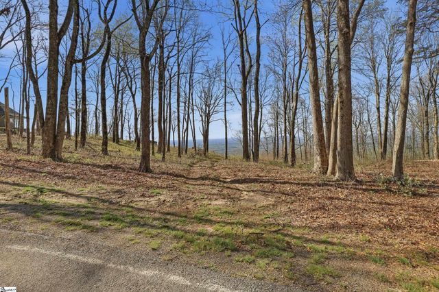 Rose Pink Trail, Landrum, SC 29356